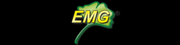 EMG International
