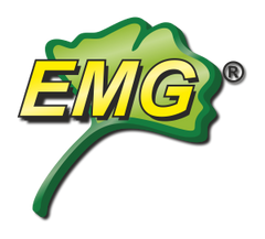 EMG International